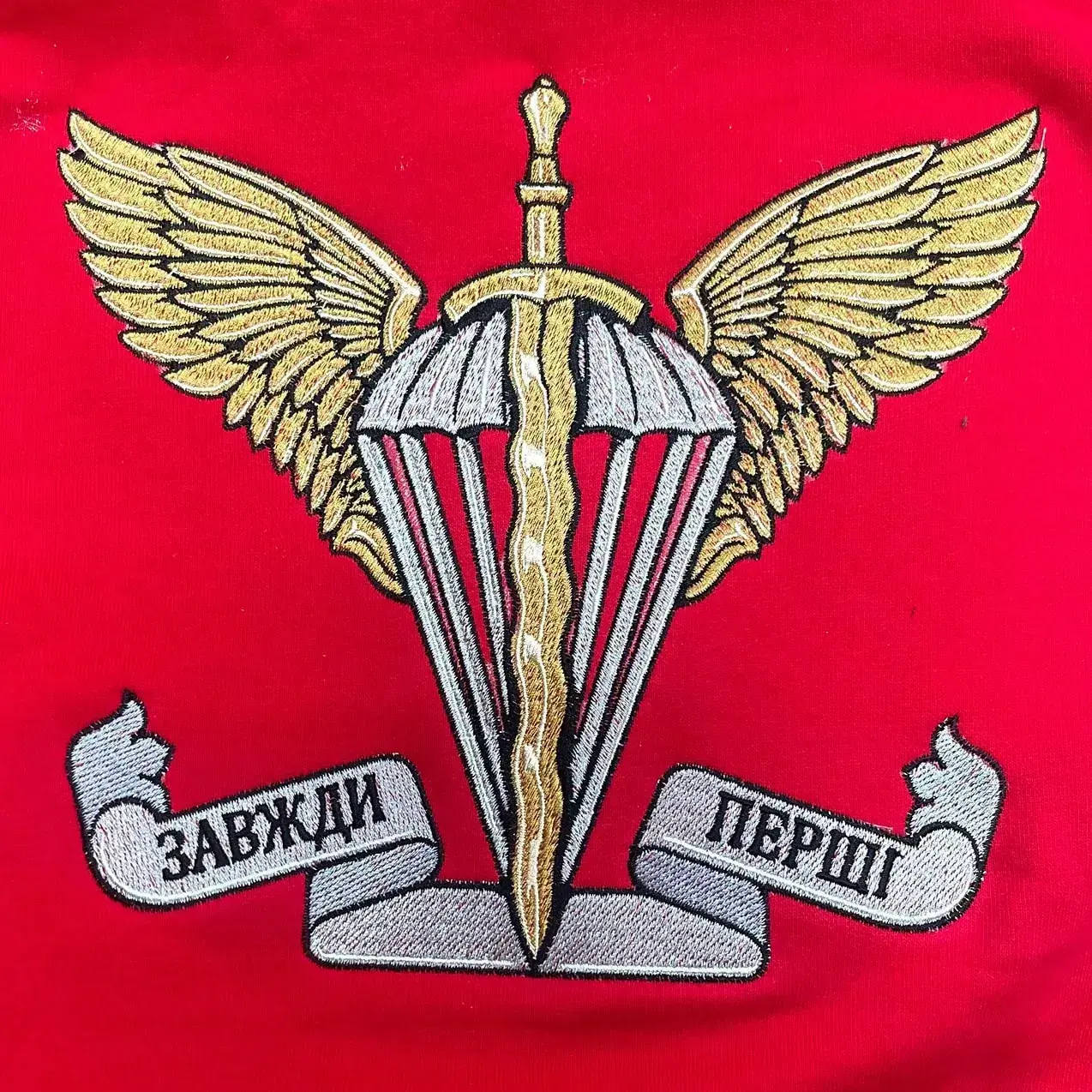 Вишивка на худі - портфоліо