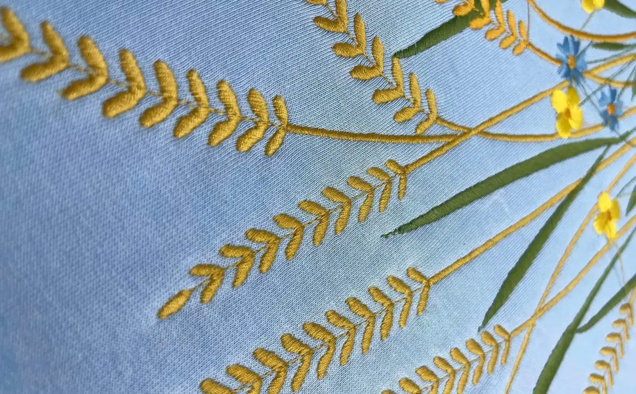 Вишивка на худі - портфоліо