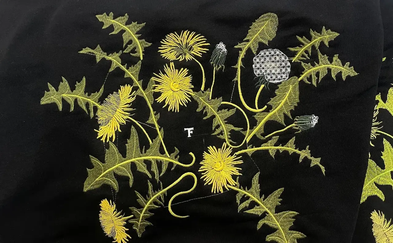 Приклади декоративної вишивки